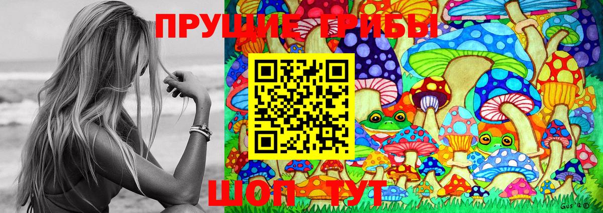 Псилоцибиновые грибы прущие грибы Луховицы