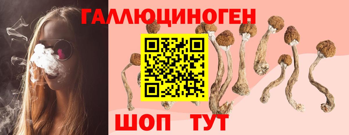 Луховицы  Галлюциногенные грибы мухоморы  Псилоцибиновые грибы MAGIC MUSHROOMS  где купить наркоту  Вход с VPN 